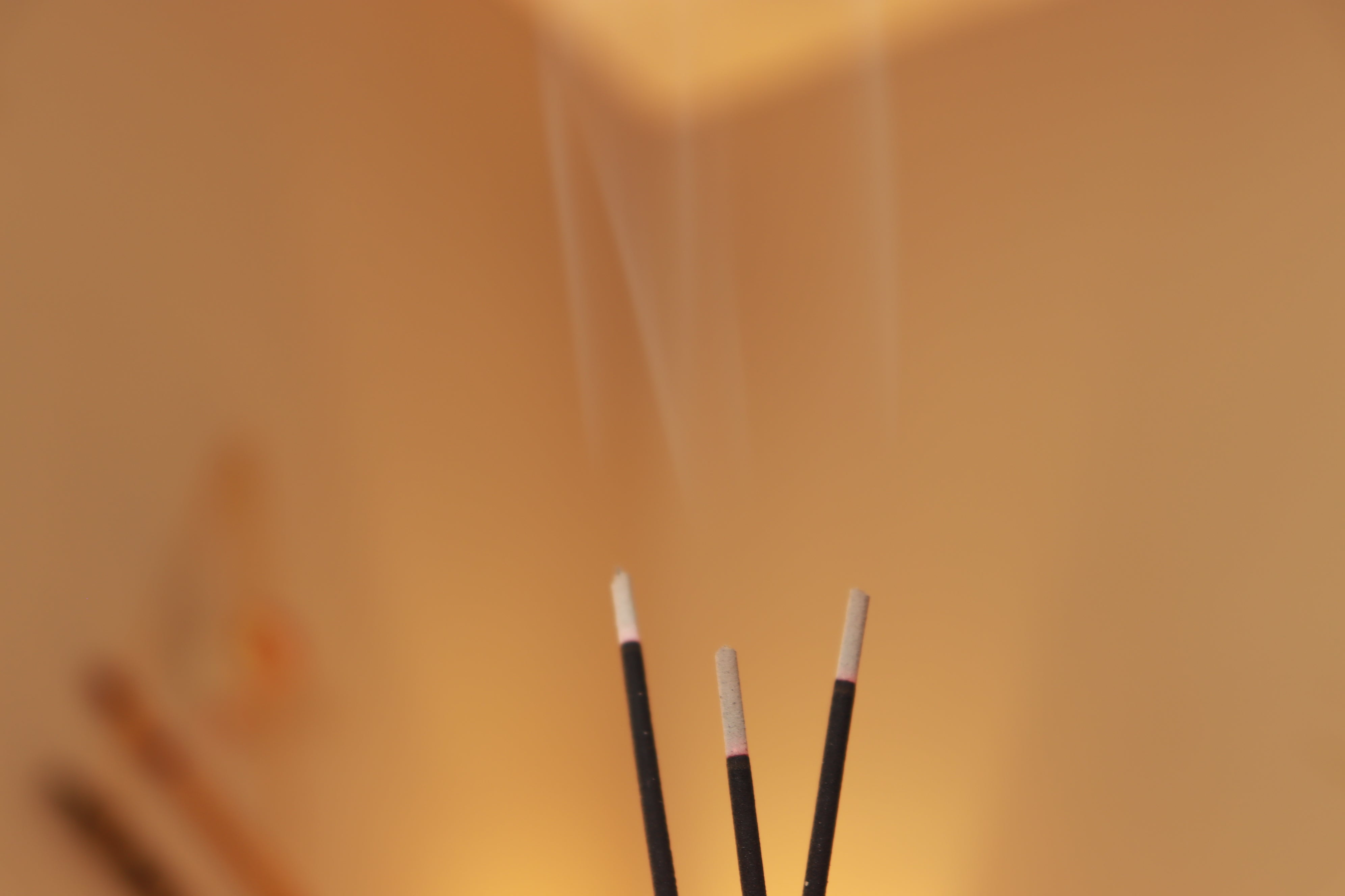 Exotic Blend Incense Sticks - Premium Hand-dipped Incense Sticks - 75 grams (50+ sticks)