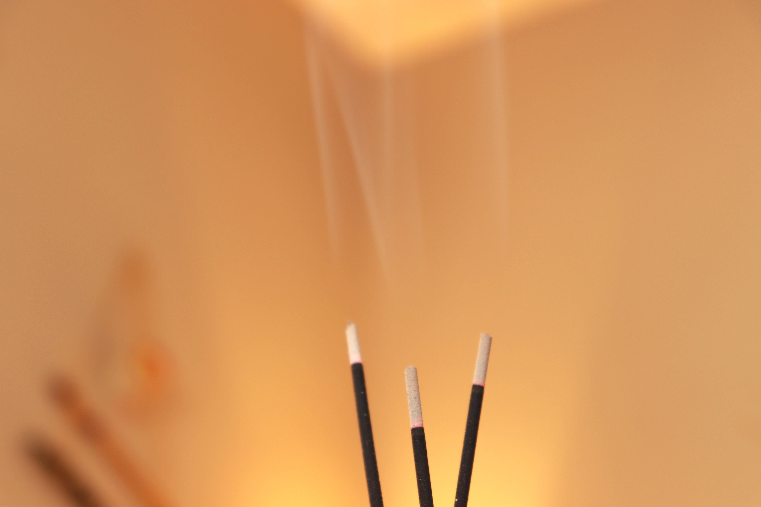 Incense Sticks Variety Pack | Premium Hand-dipped Floral Incense | 7 Scents | Lavender Lilac Rose Narcissus Lotus Vanilla Jasmine Tuberose Ylang Ylang | 105 sticks + Free Incense Holder